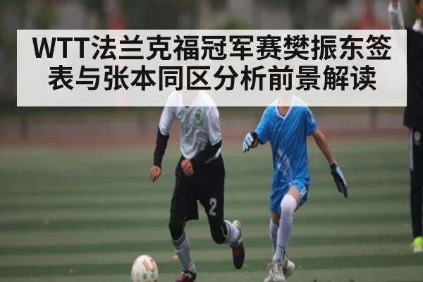 WTT法兰克福冠军赛樊振东签表与张本同区分析前景解读