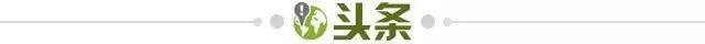 九游游戏-【早报】国足留洋全看“磊子”！李磊完成留洋首秀！